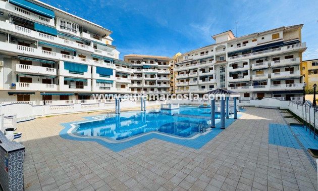 Sale - Apartment / flat - La Mata