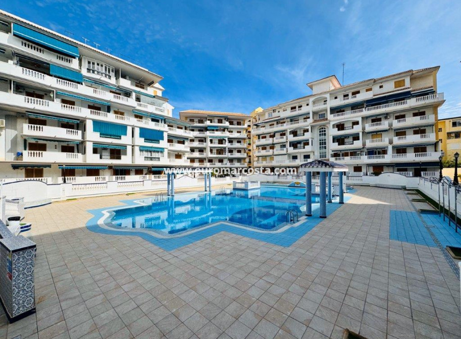 Sale - Apartment / flat - La Mata