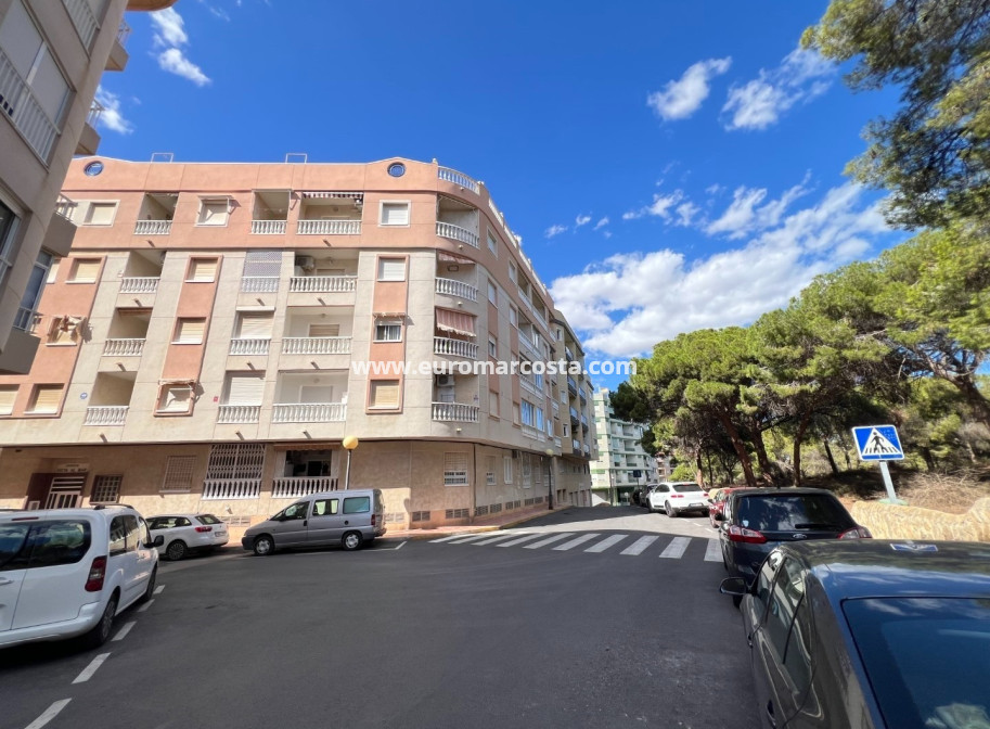 Sale - Apartment / flat - Guardamar del Segura