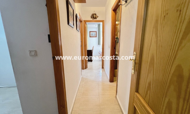 Venta - Apartamento / piso - Guardamar del Segura