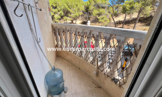 Venta - Apartamento / piso - Guardamar del Segura