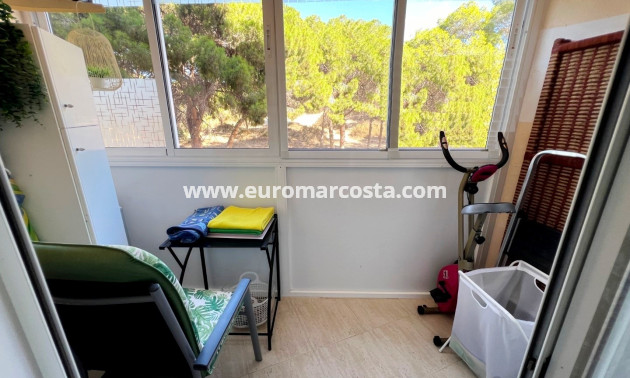 Venta - Apartamento / piso - Guardamar del Segura