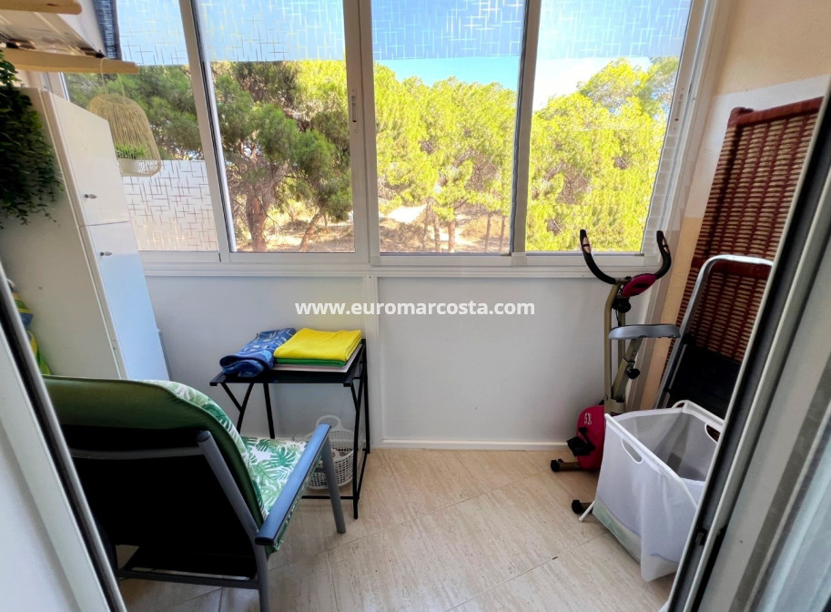 Venta - Apartamento / piso - Guardamar del Segura