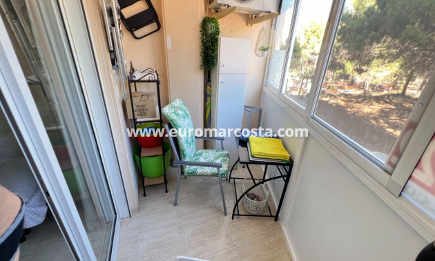 Sale - Apartment / flat - Guardamar del Segura