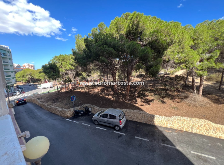 Sale - Apartment / flat - Guardamar del Segura