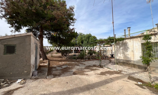 Sale - Country house - Elche Pedanías - La Marina