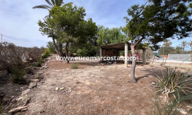 Sale - Country house - Elche Pedanías - La Marina