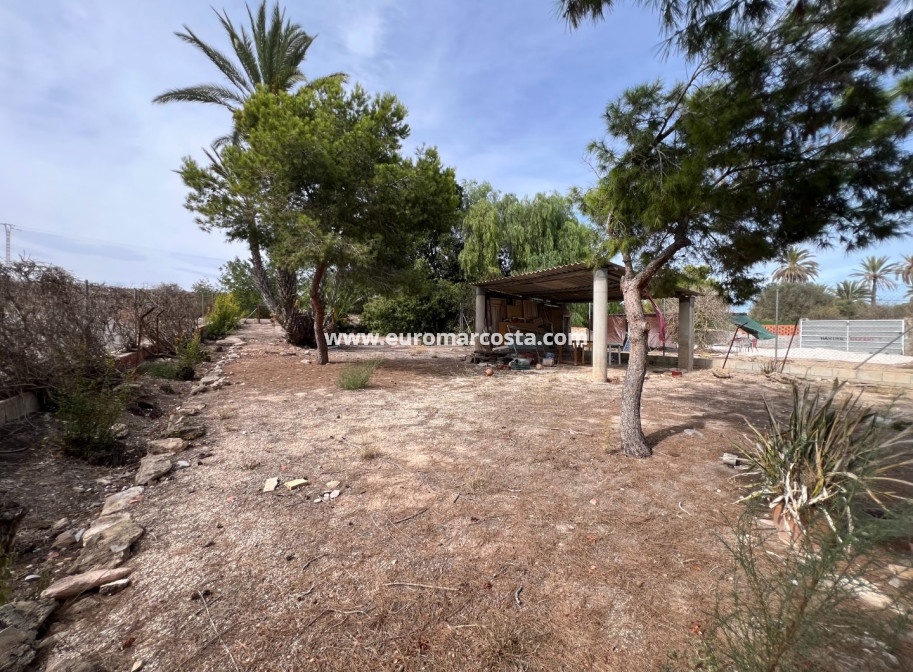 Objekte zum Wiederverkauf - Landhaus - Elche Pedanías - La Marina