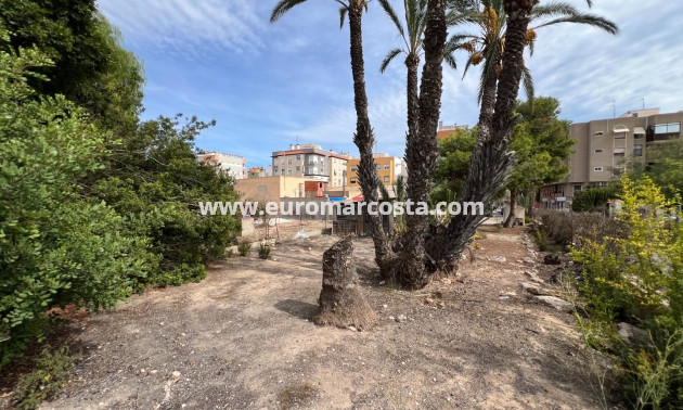 Venta - Casa de campo - Elche Pedanías - La Marina