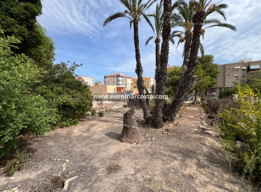 Objekte zum Wiederverkauf - Landhaus - Elche Pedanías - La Marina