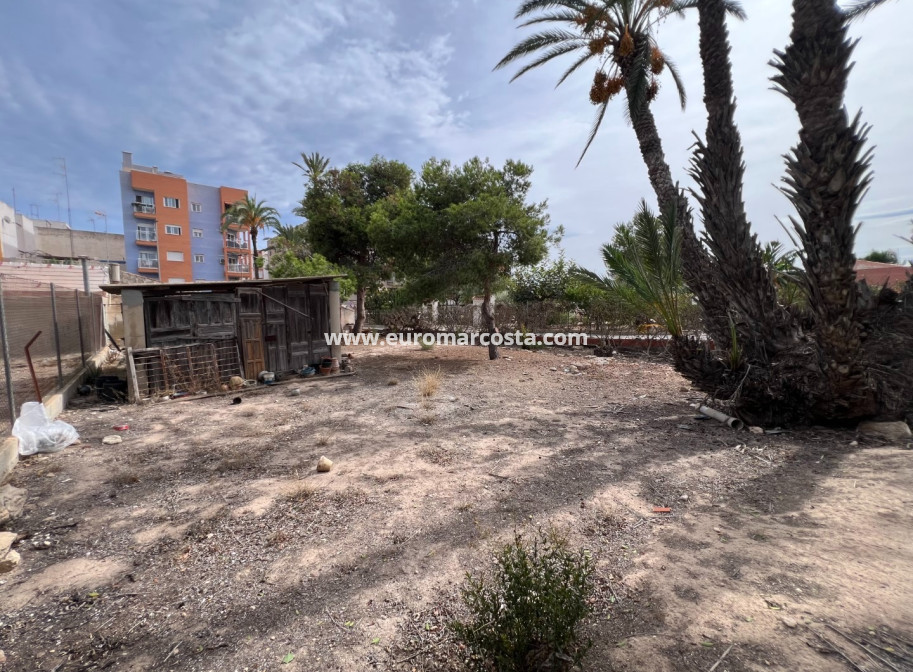 Objekte zum Wiederverkauf - Landhaus - Elche Pedanías - La Marina