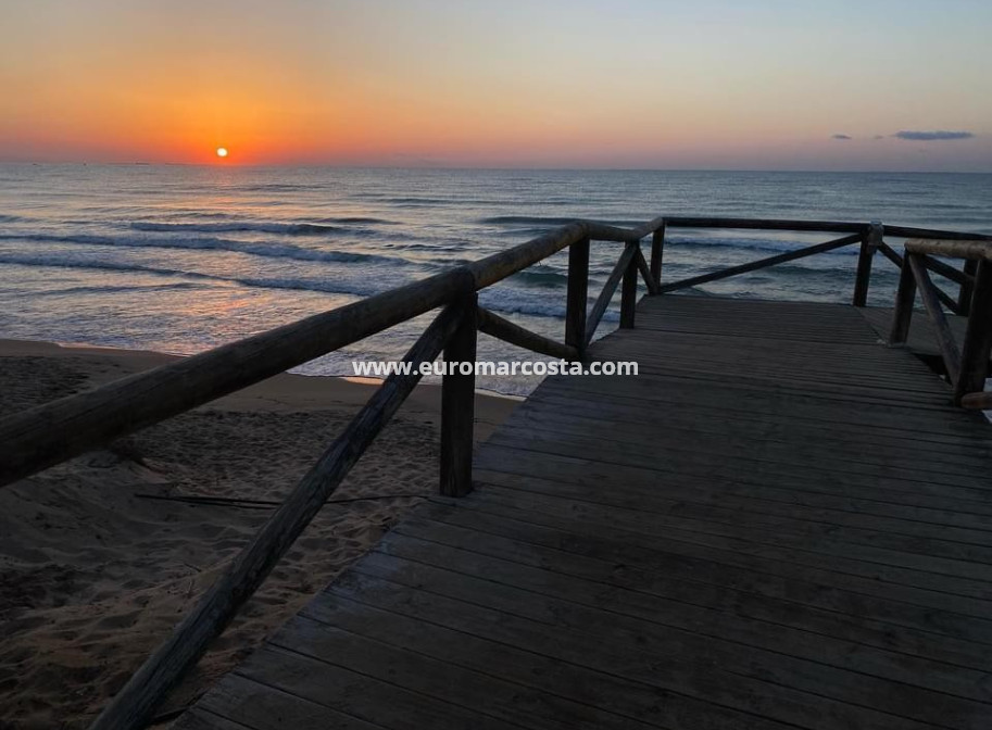 Venta - Casa de campo - Elche Pedanías - La Marina