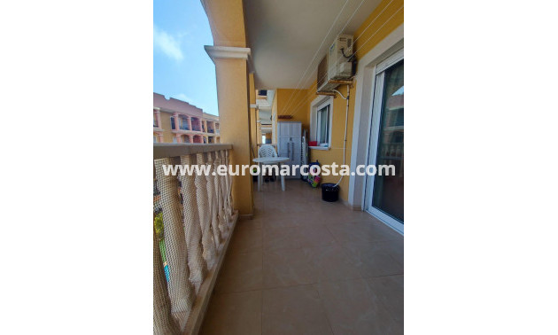 Sale - Apartment / flat - Torrevieja - TORREVIEJA