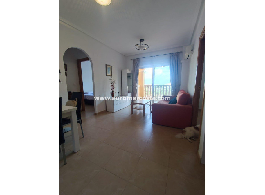 Sale - Apartment / flat - Torrevieja - TORREVIEJA