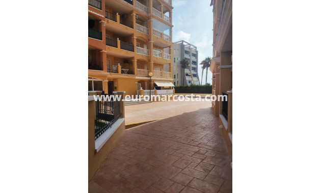 Sale - Apartment / flat - Torrevieja - TORREVIEJA