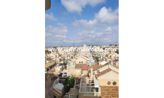 Sale - Apartment / flat - Torrevieja - TORREVIEJA