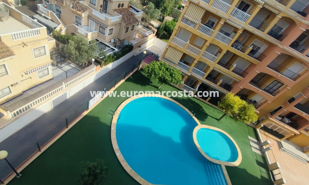 Sale - Apartment / flat - Torrevieja - TORREVIEJA