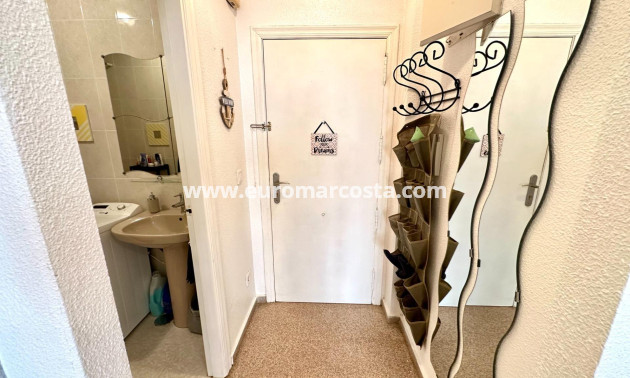 Sale - Apartment / flat - Guardamar del Segura - Pueblo