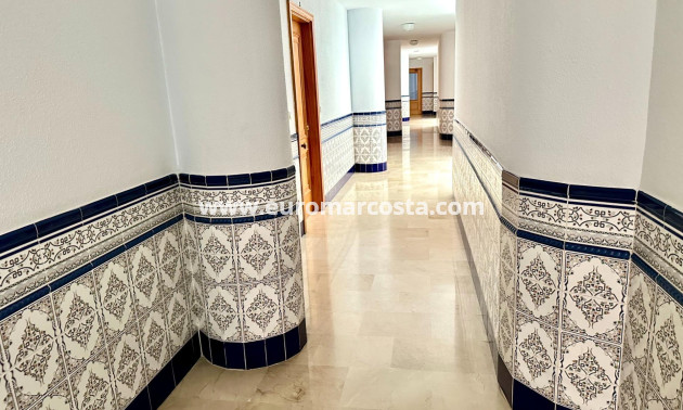 Sale - Apartment / flat - Guardamar del Segura - Pueblo