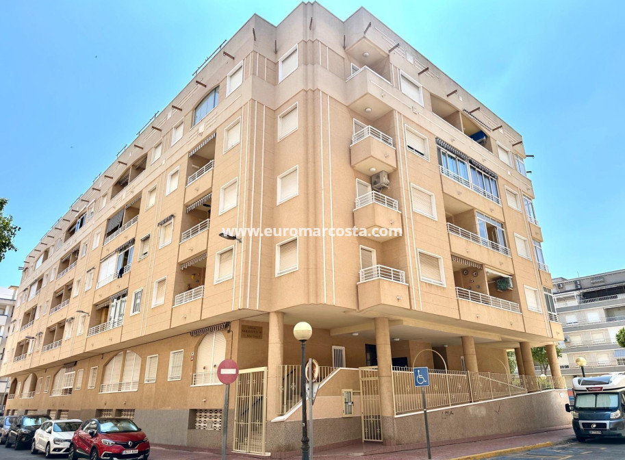 Sale - Apartment / flat - Guardamar del Segura - Pueblo