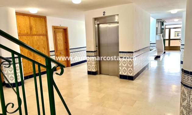 Venta - Apartamento / piso - Guardamar del Segura - Pueblo