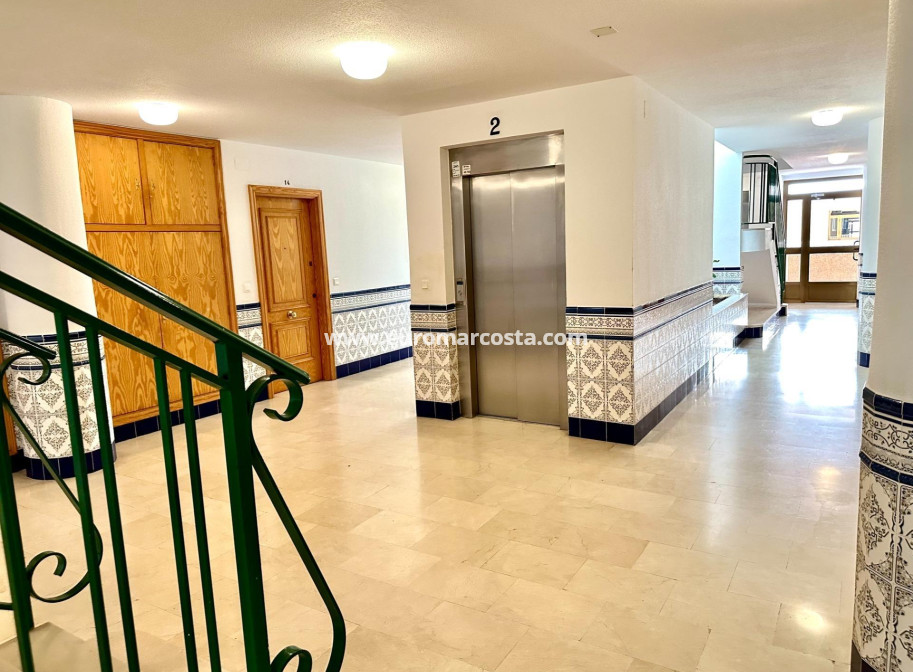 Sale - Apartment / flat - Guardamar del Segura - Pueblo