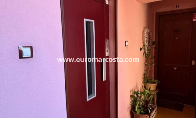 Venta - Apartamento / piso - Alicante - Carolinas altas