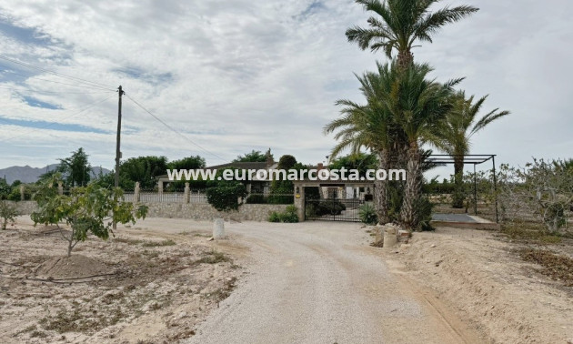 Venta - Casa de campo - Albatera