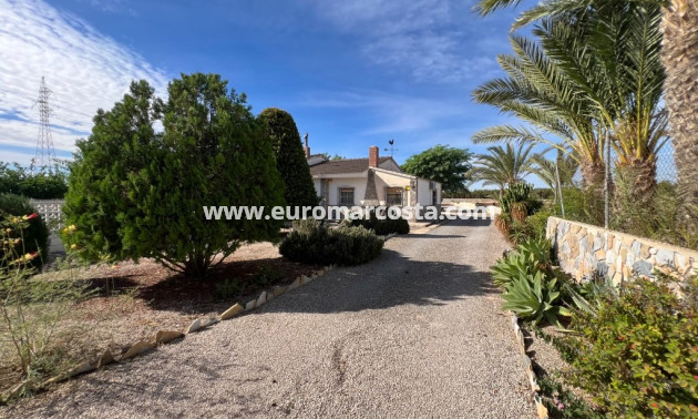 Venta - Casa de campo - Albatera