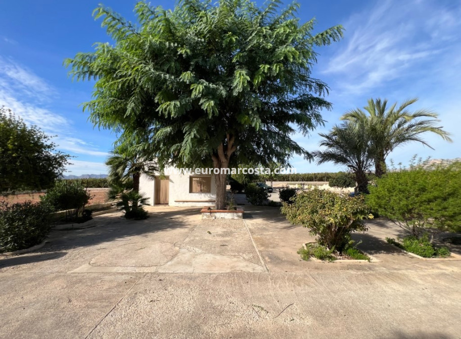 Sale - Country house - Albatera