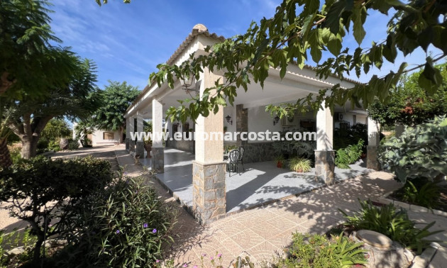 Sale - Country house - Albatera