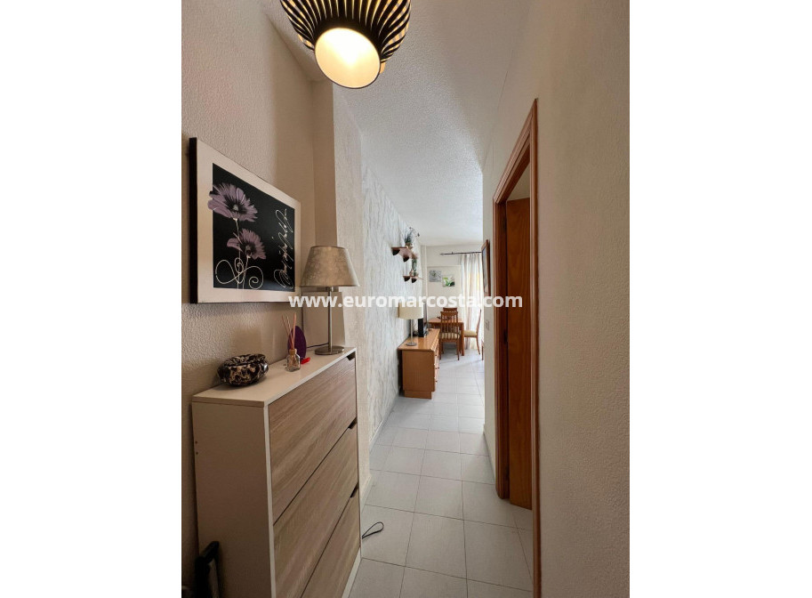 Venta - Ático - Torrevieja - TORREVIEJA