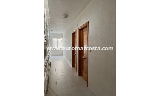 Venta - Ático - Torrevieja - TORREVIEJA