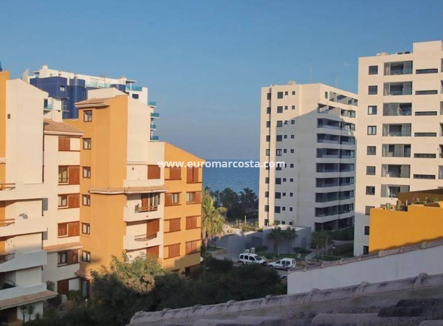 Sale - Apartment / flat - Torrevieja - Orihuela Costa