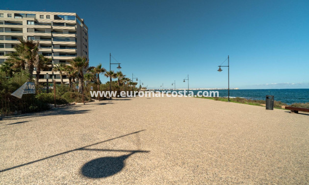 Objekte zum Wiederverkauf - Penthouse - Torrevieja - Orihuela Costa