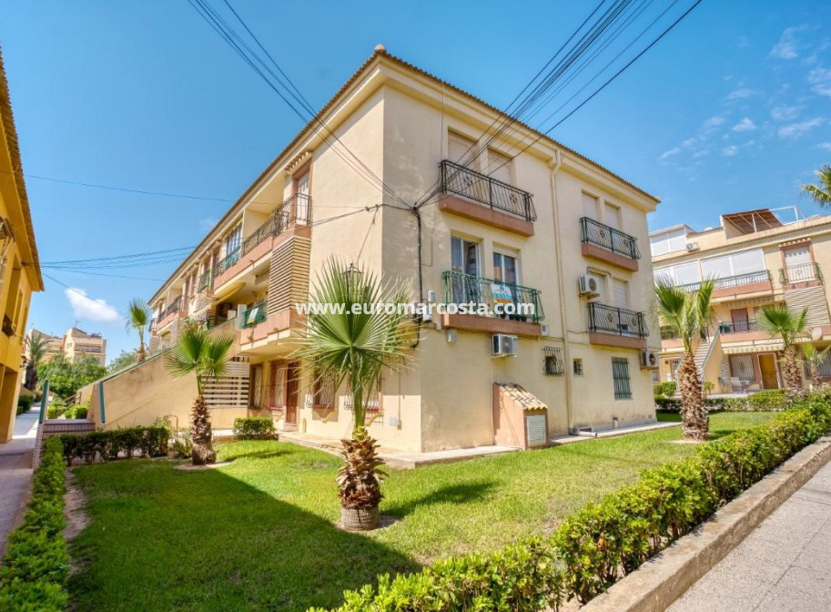Objekte zum Wiederverkauf - Wohnung - Torrevieja - TORREVIEJA