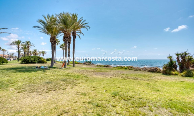Objekte zum Wiederverkauf - Wohnung - Torrevieja - TORREVIEJA