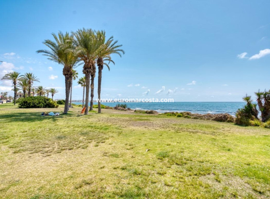 Objekte zum Wiederverkauf - Wohnung - Torrevieja - TORREVIEJA