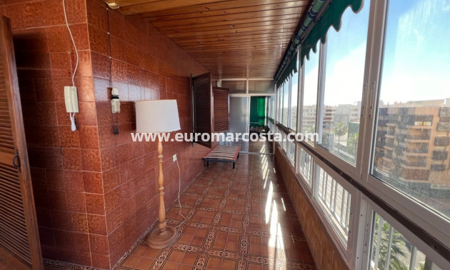 Venta - Apartamento / piso - Torrevieja - TORREVIEJA