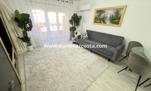 Venta - Apartamento / piso - Guardamar del Segura