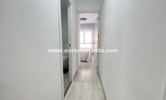 Venta - Apartamento / piso - Guardamar del Segura