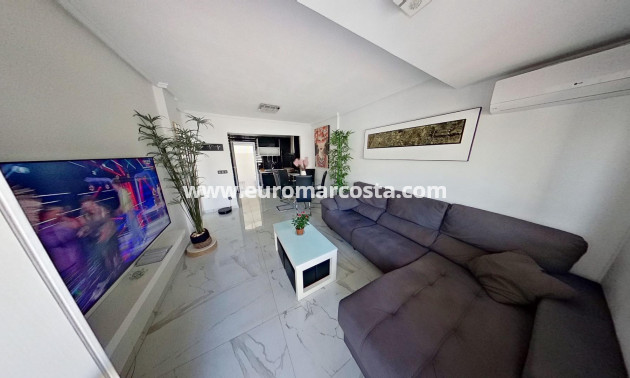 Venta - Villa - Torrevieja - TORREVIEJA