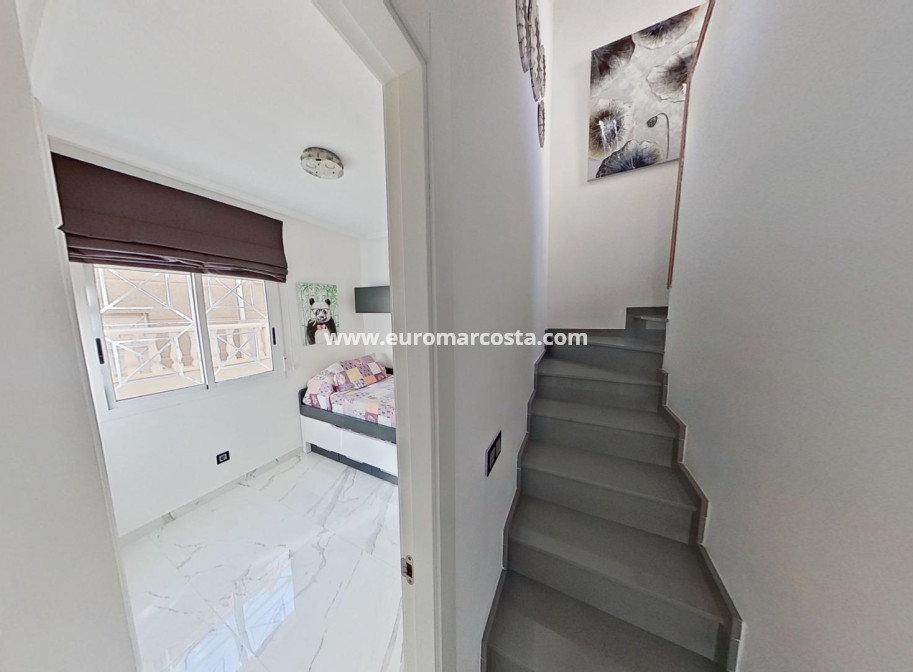 Venta - Villa - Torrevieja - TORREVIEJA