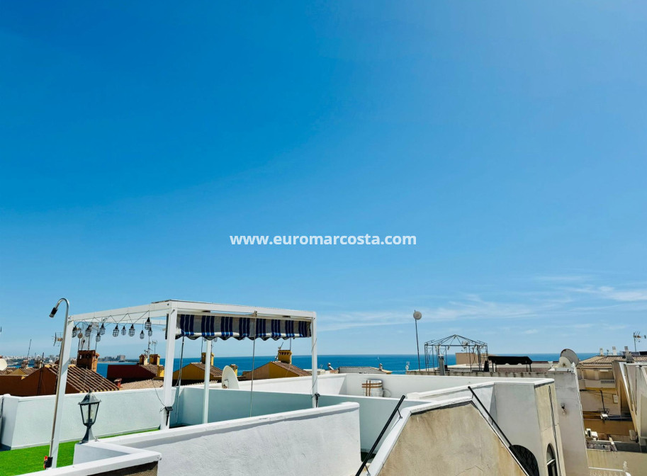 Venta - Apartamento / piso - Torrevieja - TORREVIEJA