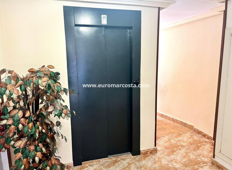 Objekte zum Wiederverkauf - Wohnung - Torrevieja - TORREVIEJA