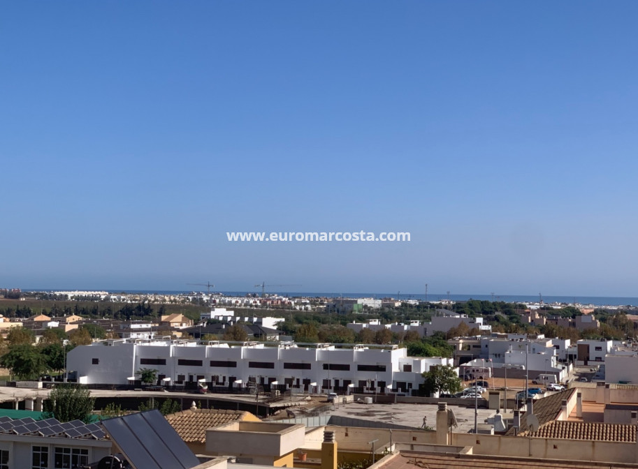 Venta - Apartamento / piso - Pilar de la Horadada