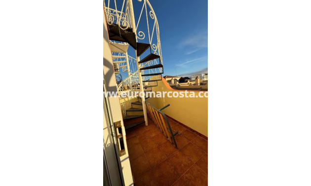 Venta - Duplex - Orihuela Costa - La Ceñuela