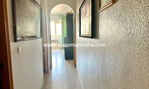 Venta - Apartamento / piso - Torrevieja - TORREVIEJA