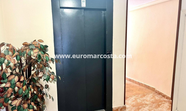 Venta - Apartamento / piso - Torrevieja - TORREVIEJA