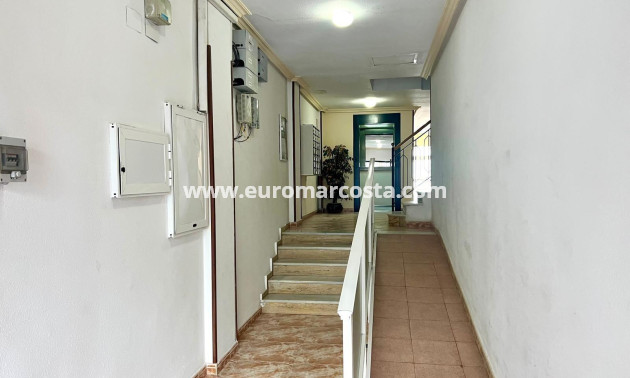 Venta - Apartamento / piso - Torrevieja - TORREVIEJA